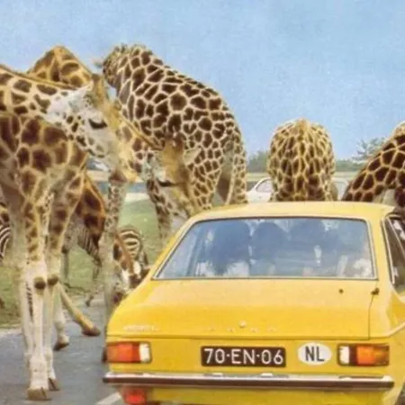 3p Comfortable Next To Fontys In Citycenter *