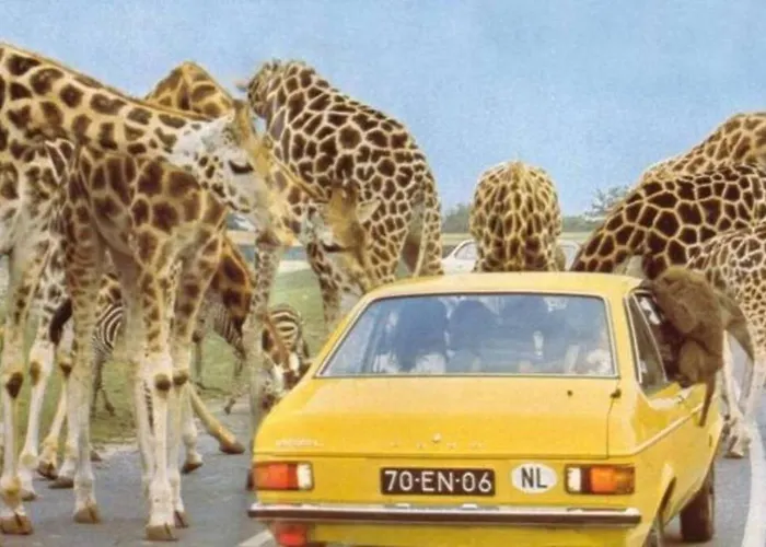 3p Comfortable Next To Fontys In Citycenter *